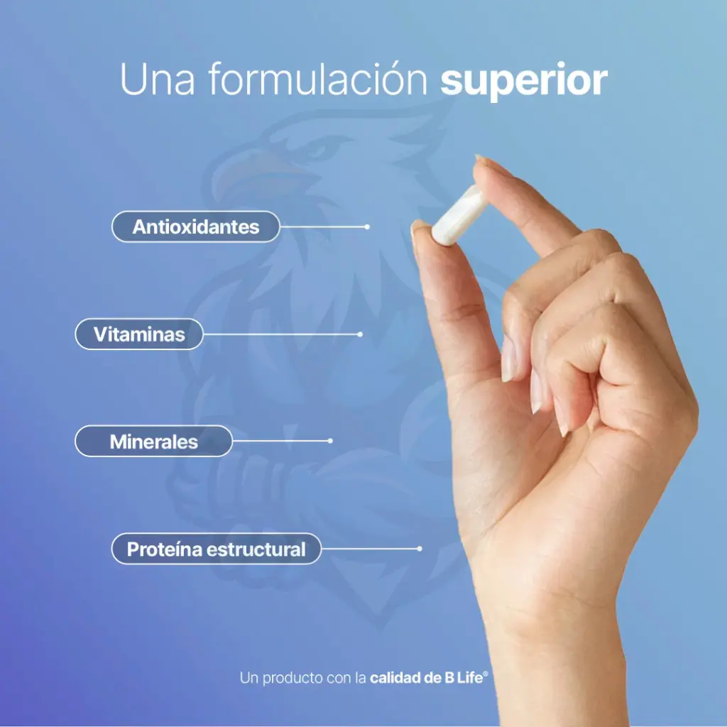 CM (6).webp