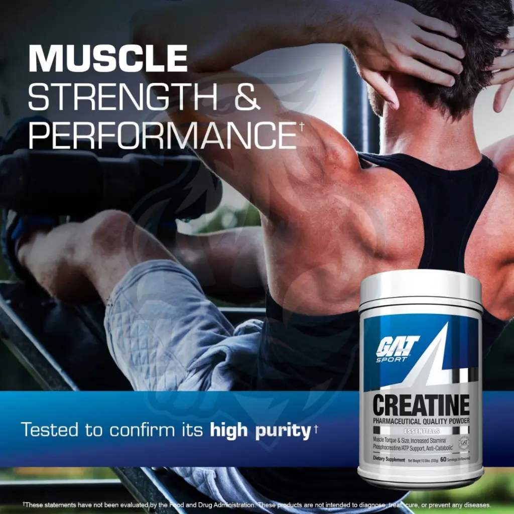 531732301_2 (2).webp